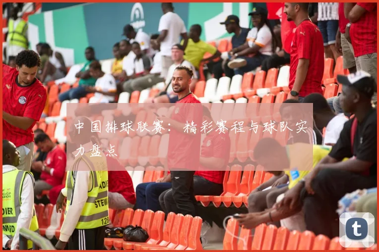 中国排球联赛：精彩赛程与球队实力盘点